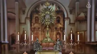 LIVE Perpetual Adoration (24/7) | Shalom World Prayer Chapel