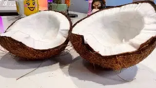 How to crack open a fresh coconut quickly and easily with tools that everybody owns.