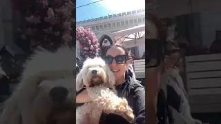 Полное видео выходных в Выборге уже на канале! 