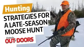Strategies for a late-season moose hunt