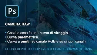 Photoshop 2020 - Tutorial 24: Camera Raw | Curva di viraggio