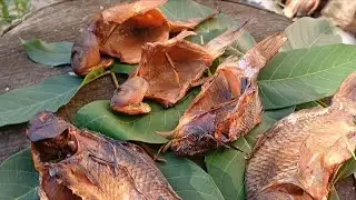 копчені карасики на сіні