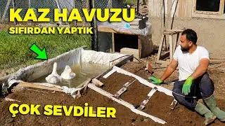 2. sözümü de tuttum ! Kazlar için pratik havuz yapımı - tavukları yemledim - cins tavuk kümeslerim