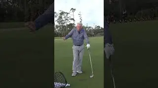 Body pivot