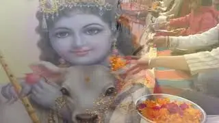 Говинда Валлабха - Позволь мне быть настоящим