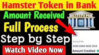 Hamster Kombat Withdrawal Process | Hamster Kombat Withdrawal Kaise Kare | Withdrawal In Bank