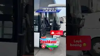 Toshkent Krasnodar avtobus, Ташкент Краснодар автобус, Ташкент Ростов-на-Дону автобус, Ташкент Сочи￼