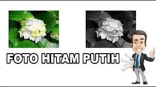 Cara Membuat Gambar Jadi Hitam Putih di CorelDRAW