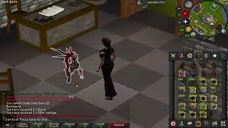 LOOT FROM 1000 VARDORVIS - OSRS DT2
