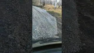 08.10.24 Воскресенка - Гузенево мостик 💪🚜🚚🚗🚌