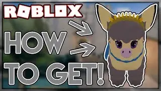How to get CAFNOTE in LOOMIAN LEGACY l ROBLOX
