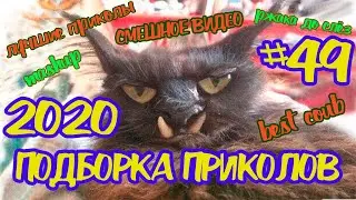 #СМЕШНОЕВИДЕО2020 #49 #лучшиеприколы #подборкаприколов2020 #bestcoub #ржака2020 #попробуйнезасмейся