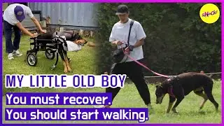 [MY LITTLE OLD BOY] You must recover, You should start walking. (ENGSUB)