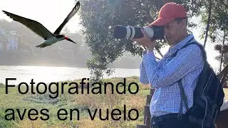 Fotografiemos aves en acción con equipo no demasiado costoso EL RAYADOR Curso de fotografía 179