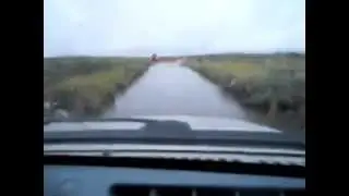 Дорога на Цып Наволок (мы дошли!)
