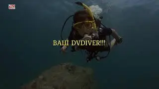 Дайвинг на Пхукете с дайв-клубом DVdiver
