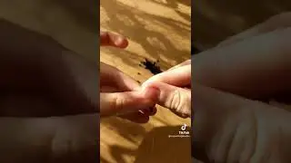 Колечко из бисера