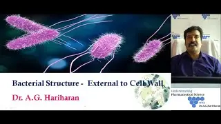 Bacterial Structure External to Cell Wall