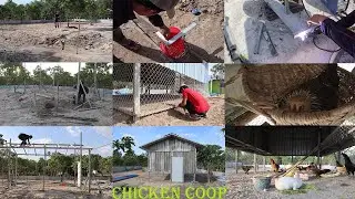 Chicken Coop Build  6mater * 4mater