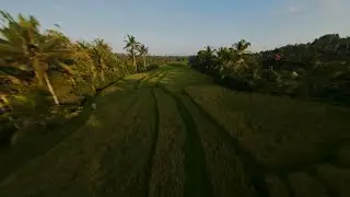 FPV cinematic flight in Bali with @DJI Avata 2.