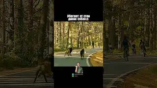 Убегают от стаи диких собак😱 