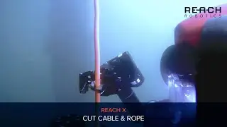 Reach X Rope Cut | Reach Robotics
