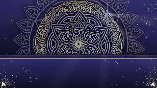 Floral Corner Background Video Loops | No Copyright Motion Graphics |