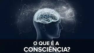 O que é a consciência?