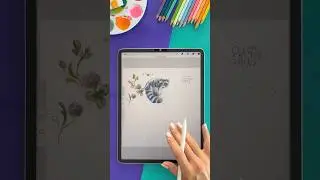 My new Procreate sketchbook spread #procreatepainting