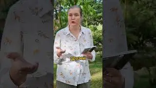 Совет от Эльзы 