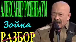 Александр Розенбаум — Зойка | Разбор на гитаре: аккорды и бой