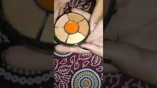REVEIW OF INSIGHT PRO COUNCLEAR PALETTE //