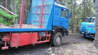 MAN 4x4 holztransporter & IFA L60 4x4
