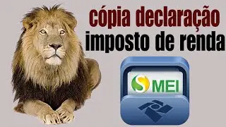 Como pedir segunda via da declaração do imposto de renda (MEI)