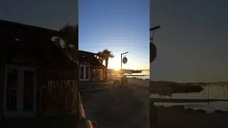 Most amazing Sunrise with Palm trees on this Canadian Island  #palmtrees