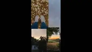 естетика природи 🌱🌿 подпишись ❤️😣