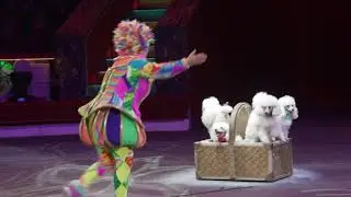 Асият агаева