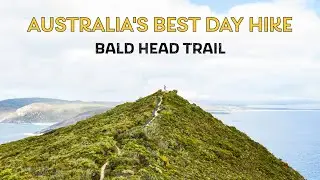 AUSTRALIA'S BEST DAY HIKE | Bald Head Hike