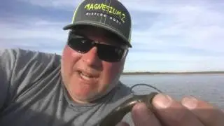 Lake Thunderbird  March 5th 2016