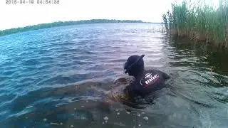 праздничные 26и27 мая 2018
