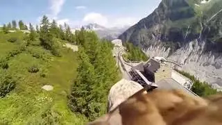 Вот так охотиться орлы