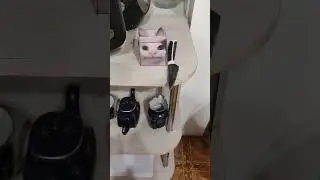 опасный белуга с ножом