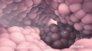 Awareness of the harms of Smoking