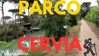 Passeggiata tranquilla nel parco di Cervia