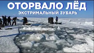 Ловил зубаря и неожиданно оторвало лед на Сахалине!