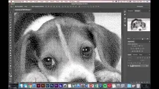 Photoshop: Turning Image into a Bitmap