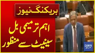 Major Amendment Bill Passed By Senate | Breaking News | Dawn News