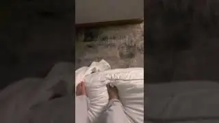 тутор?