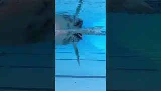Catch Phase Freestyle #swimtechnique #freestyleswimming #swimrun