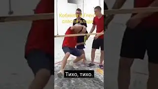 они спасли влада а4